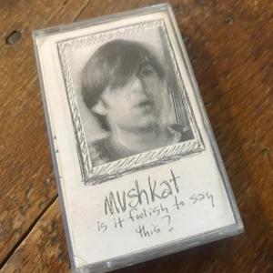 Is It Foolish To Say This (Mountain Road Version)