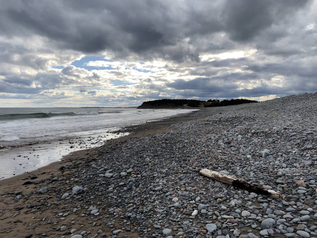 Lawrencetown Beach