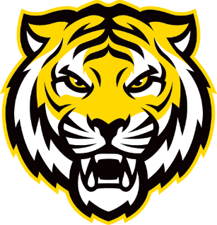 Dalhousie Men’s Hockey game against UNB