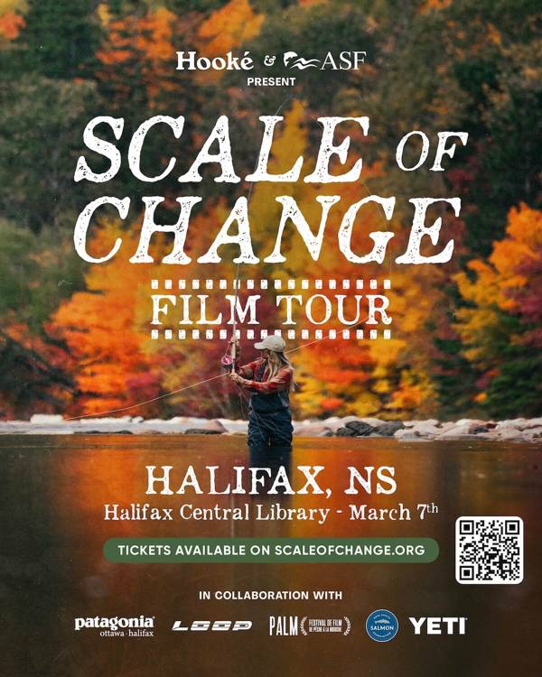 Scale of Change Film Tour