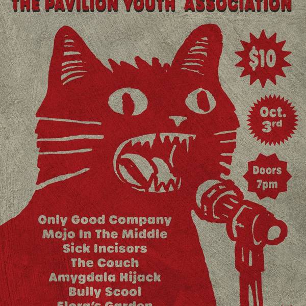 CJFEST - A Fundraiser for the Pavilion Youth Association