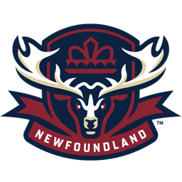 Newfoundland Regiment