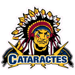 Les Cataractes de Shawinigan